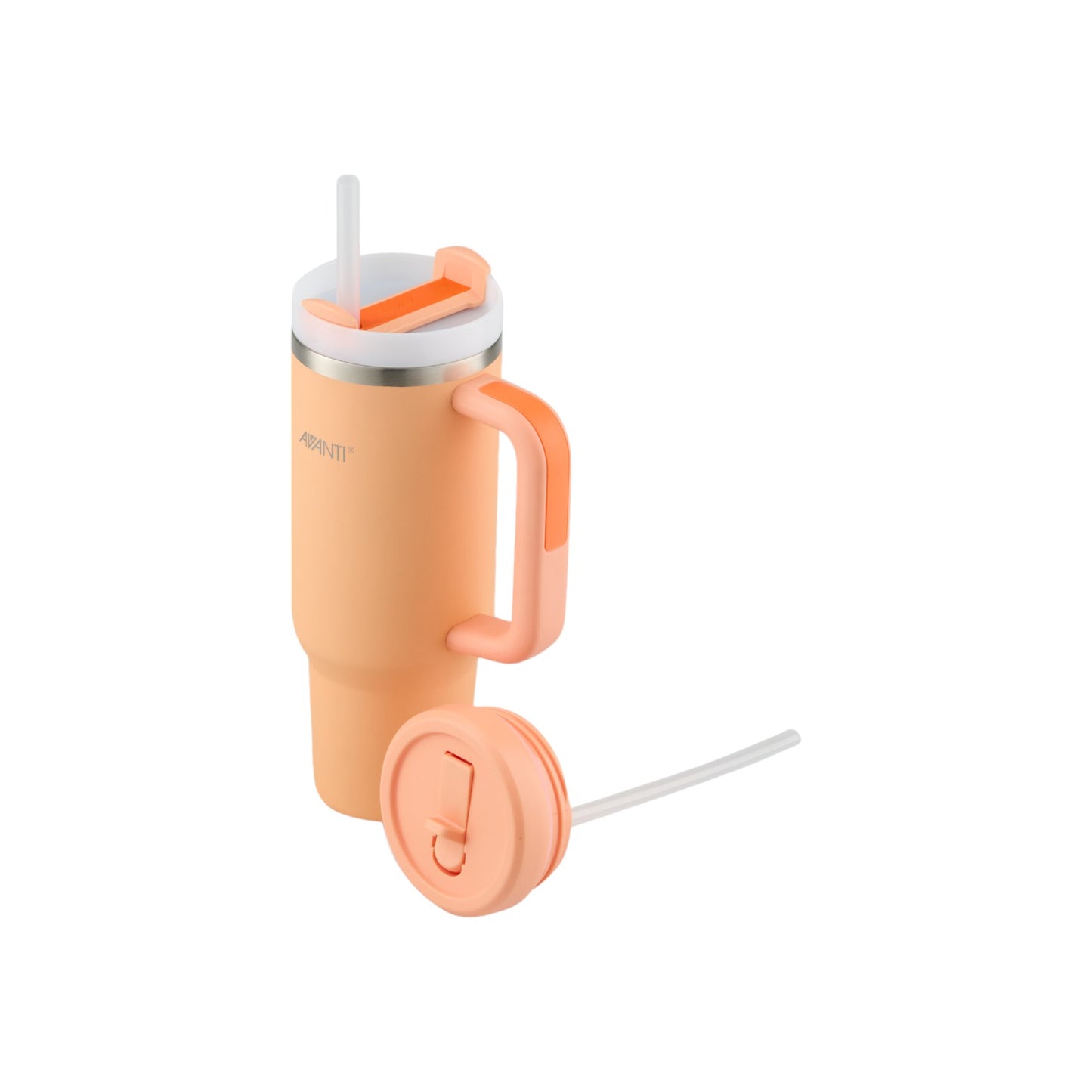 Avanti HydroQuench 1L Insulated Tumbler with 2 Lids - Assorted Colours