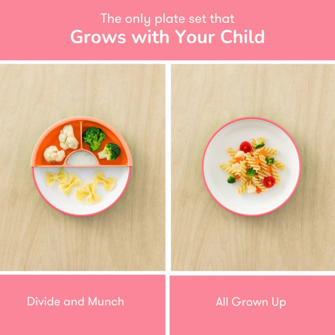 Omie Toddler Plate & Divider - Assorted Colours