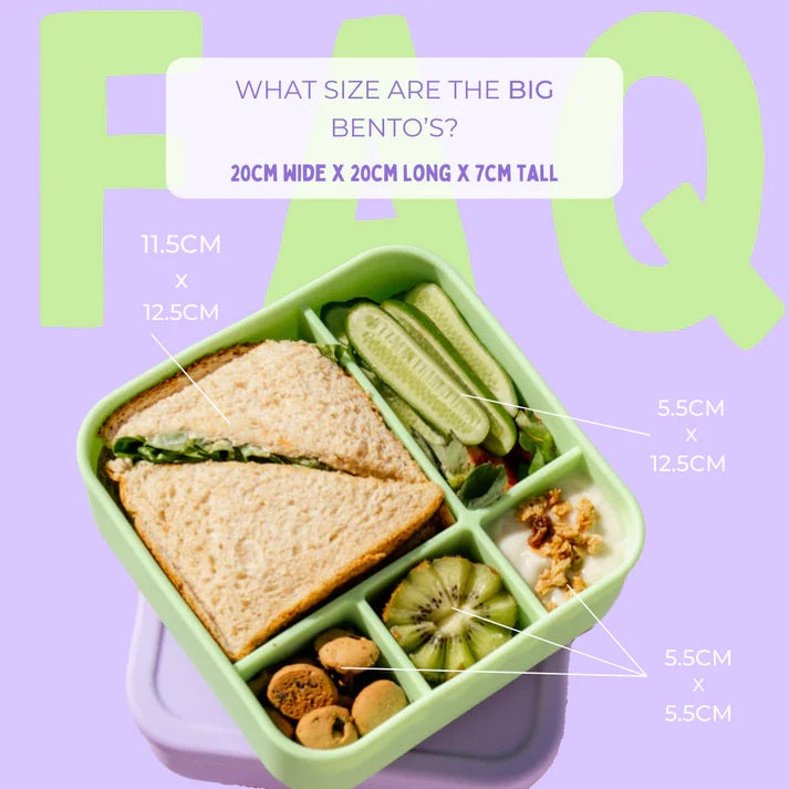 The Zero Waste People Silicone BIG Bento Lunchbox - Assorted Colours