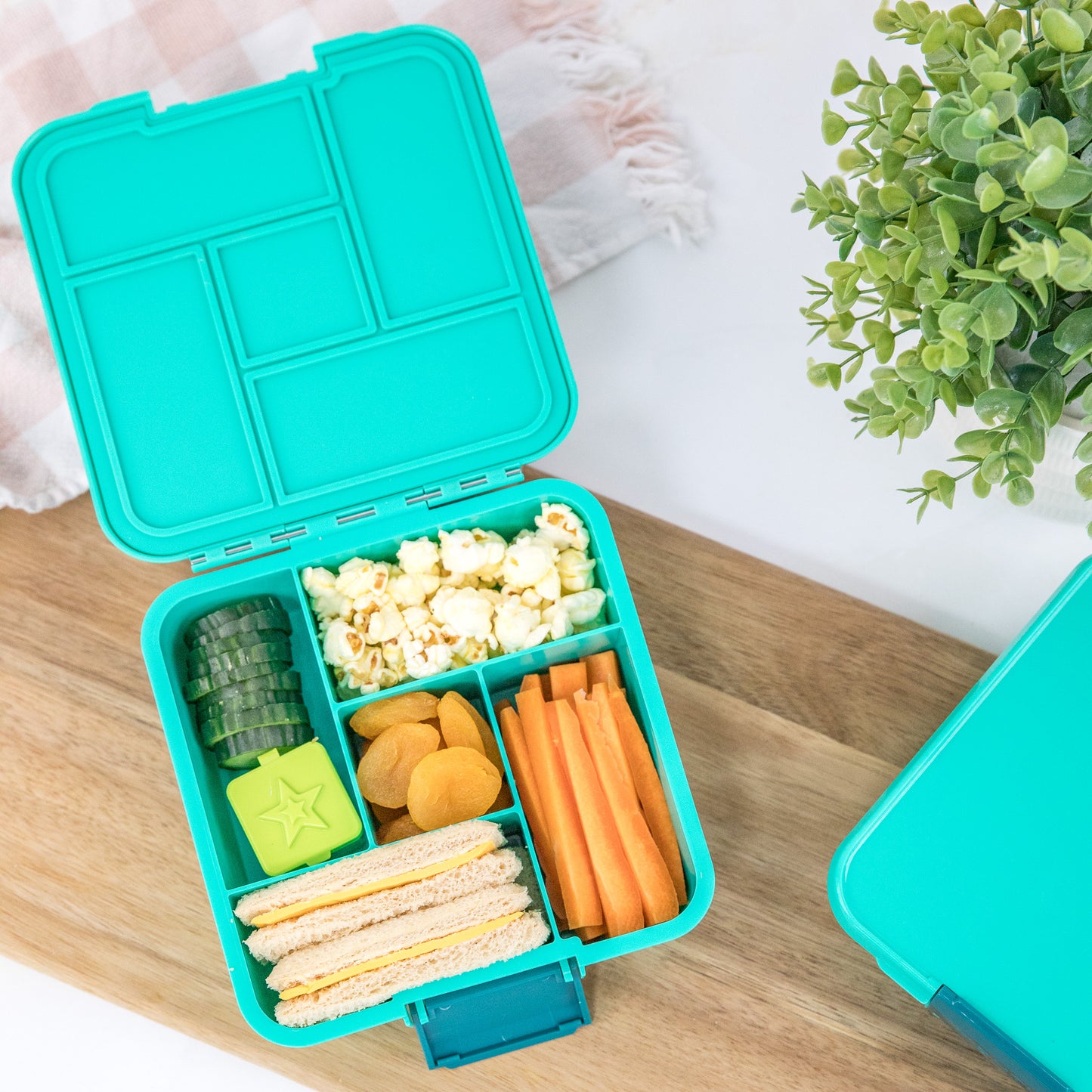 MontiiCo Bento Five Lunchbox - Mojito