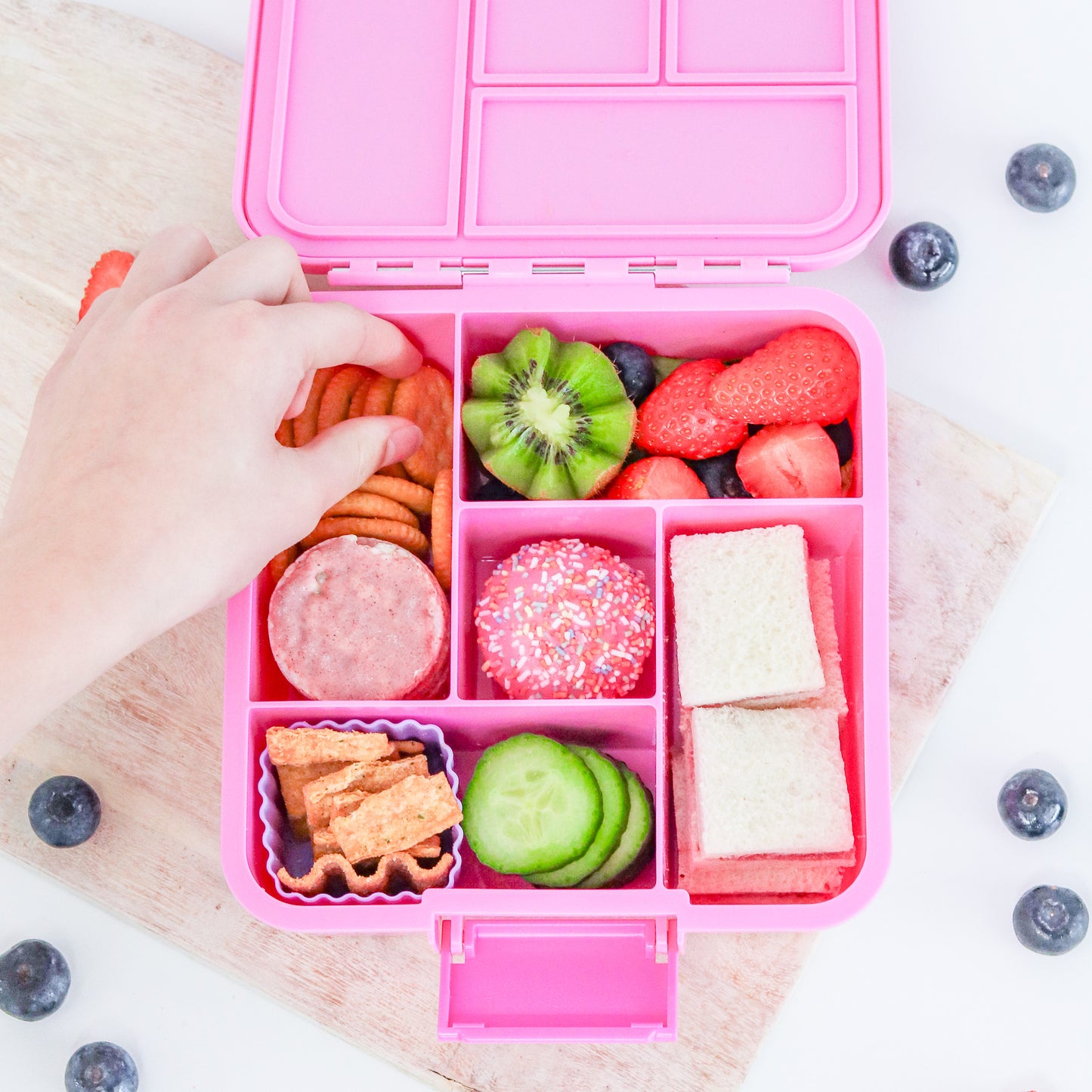 MontiiCo Bento Five Lunchbox - Floss