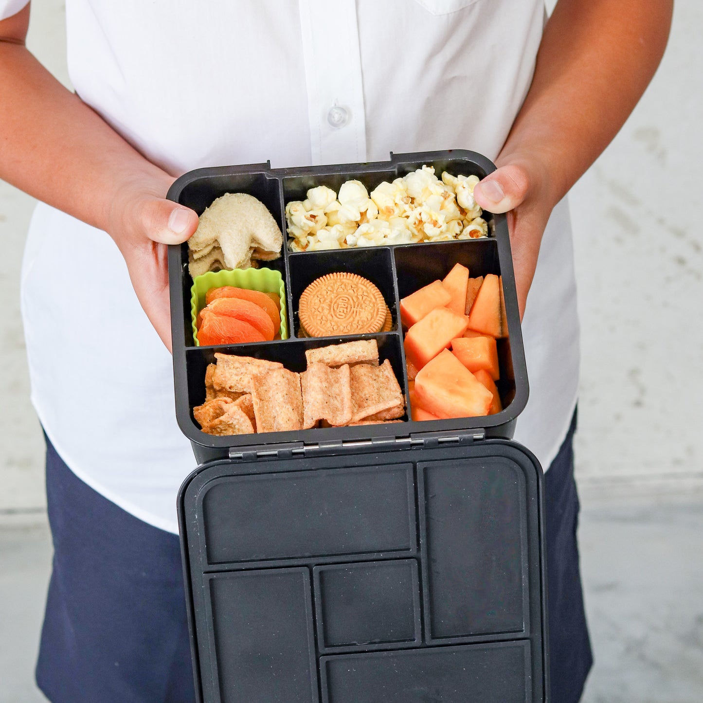 MontiiCo Bento Five Lunchbox - Dinosaur Land