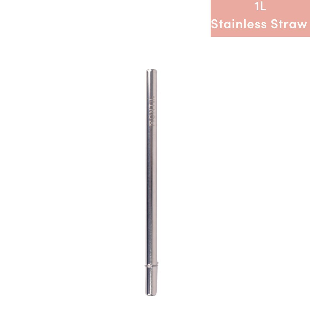 MontiiCo Fusion Smoothie Stainless Straw - Assorted