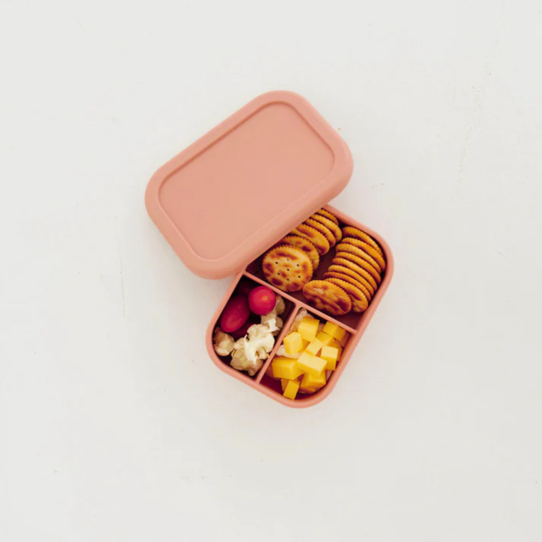 The Zero Waste People Silicone Bento Mini Box - Assorted Colours