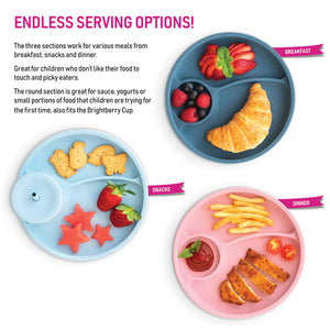 Brightberry Divider Suction Plate - 4 Colours Available