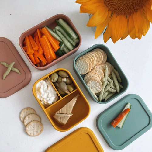 The Zero Waste People 3 Compartment Silicone Bento Container - Assorted Colours