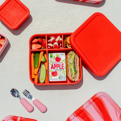 The Zero Waste People Silicone BIG Bento Lunchbox - Assorted Colours