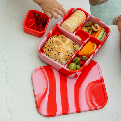 The Zero Waste People Silicone Bento Lunchbox - Assorted Colours