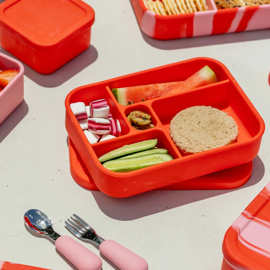 The Zero Waste People Silicone Bento Lunchbox - Assorted Colours