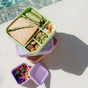 The Zero Waste People BIG Bento Lunchbox - Assorted Colours