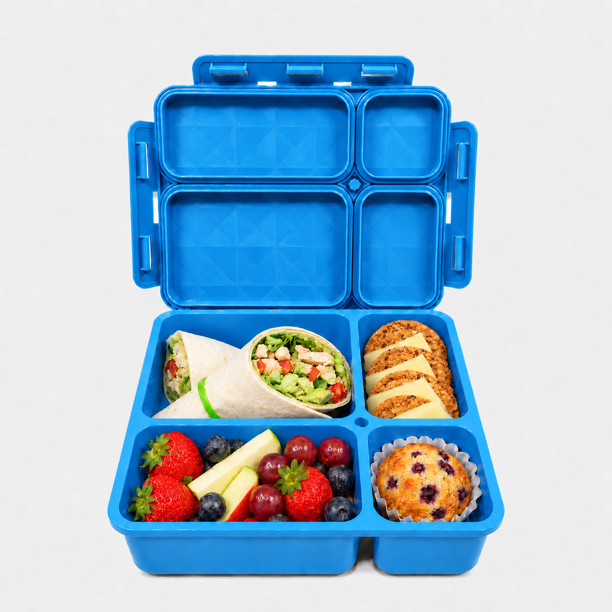 Go Green Medium Lunch Box - Assorted Colours