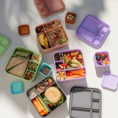 The Zero Waste People BIG Bento Lunchbox - Assorted Colours