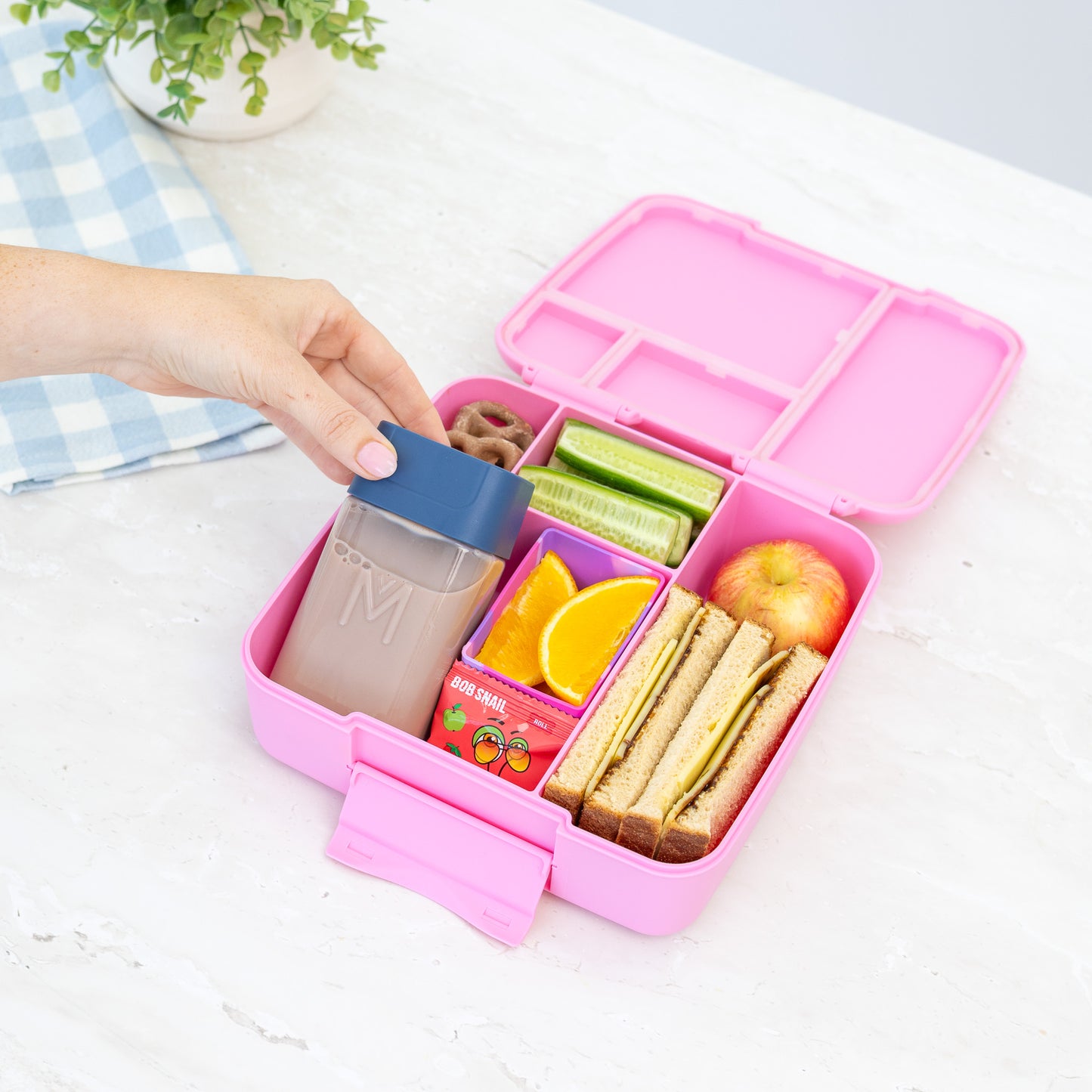 MontiiCo Bento Bottle - Assorted Colours