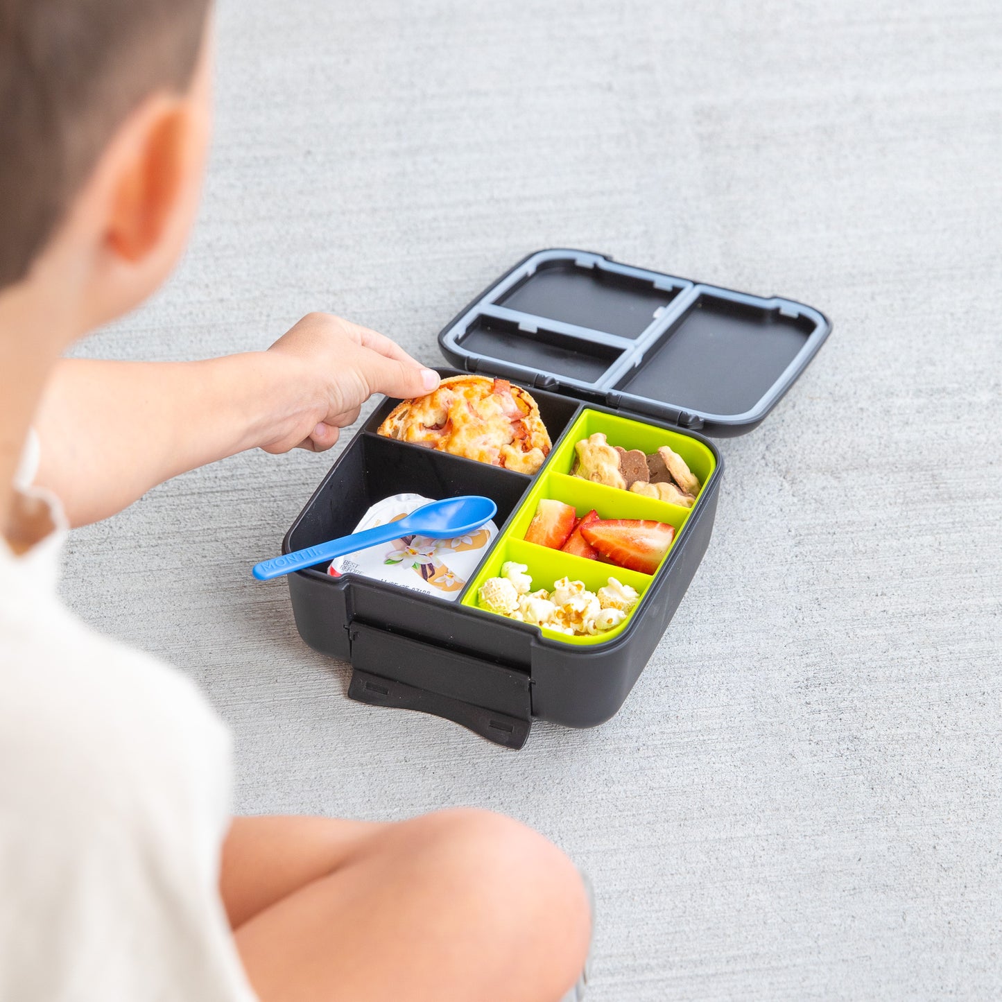 MontiiCo Bite Bento Tray - Assorted Colours