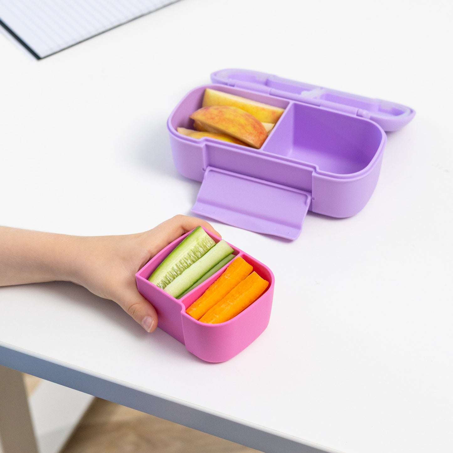 MontiiCo Snack Bento Tray - Assorted Colours