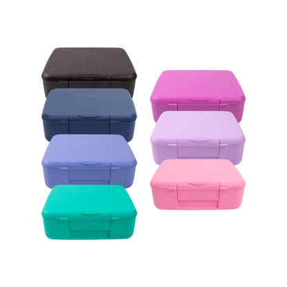 MontiiCo Feast Bento Lunchbox - Assorted Colours