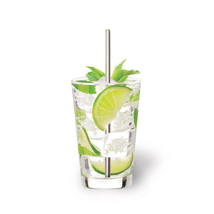 IS Gift Reusable Metal Straw - SINGLE