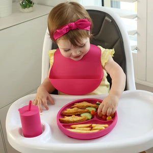 Brightberry Divider Suction Plate - 4 Colours Available