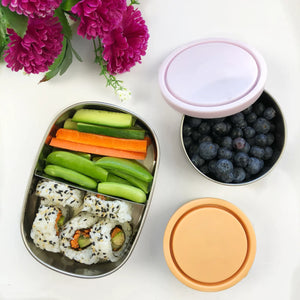 Ever Eco Stainless Steel Bento Snack Box - 2 Compartment