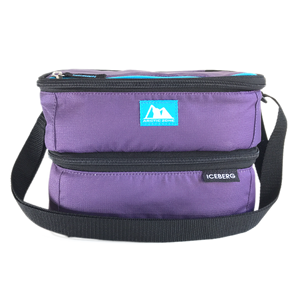 Arctic Zone Dual Compartment Lunch Bag - Logan