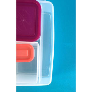 Bentology - Bento Lunch Box - Fruit Colour
