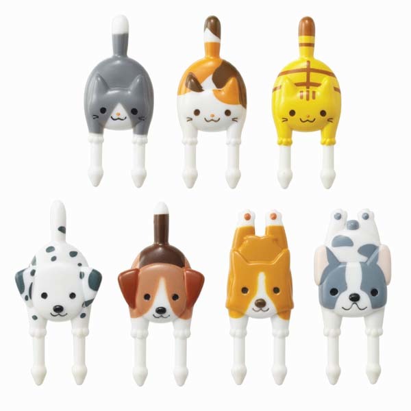 Puppy & Kitten Food Picks