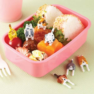 Puppy & Kitten Food Picks