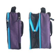 Load image into Gallery viewer, Arctic Zone Expandable Lunch Pack - Logan