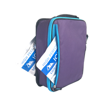 Load image into Gallery viewer, Arctic Zone Expandable Lunch Pack - Logan